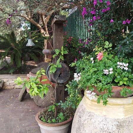 사사리 Il Casale Del Cortonese 아파트 외부 사진