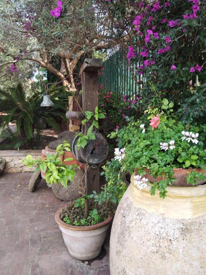 사사리 Il Casale Del Cortonese 아파트 외부 사진