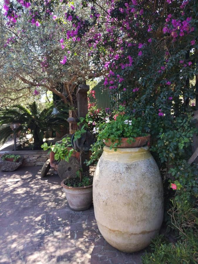 사사리 Il Casale Del Cortonese 아파트 외부 사진
