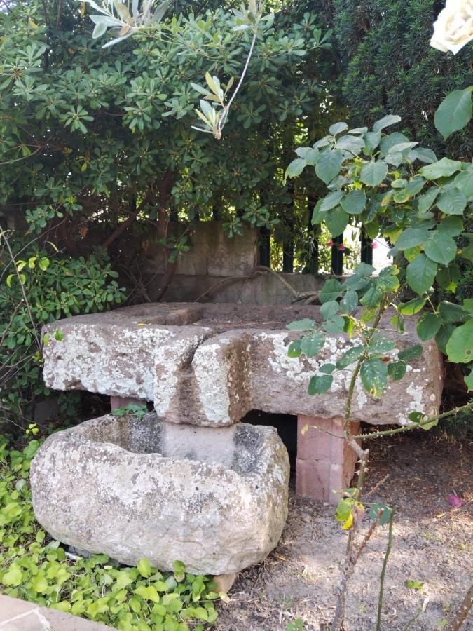 사사리 Il Casale Del Cortonese 아파트 외부 사진